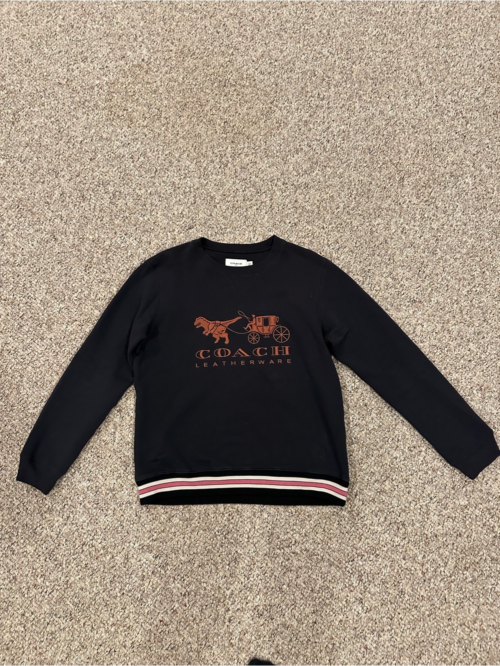 COACH Unisex Rezy Pullover Sweatshirt